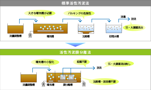 活性 汚泥 の 増やし 方